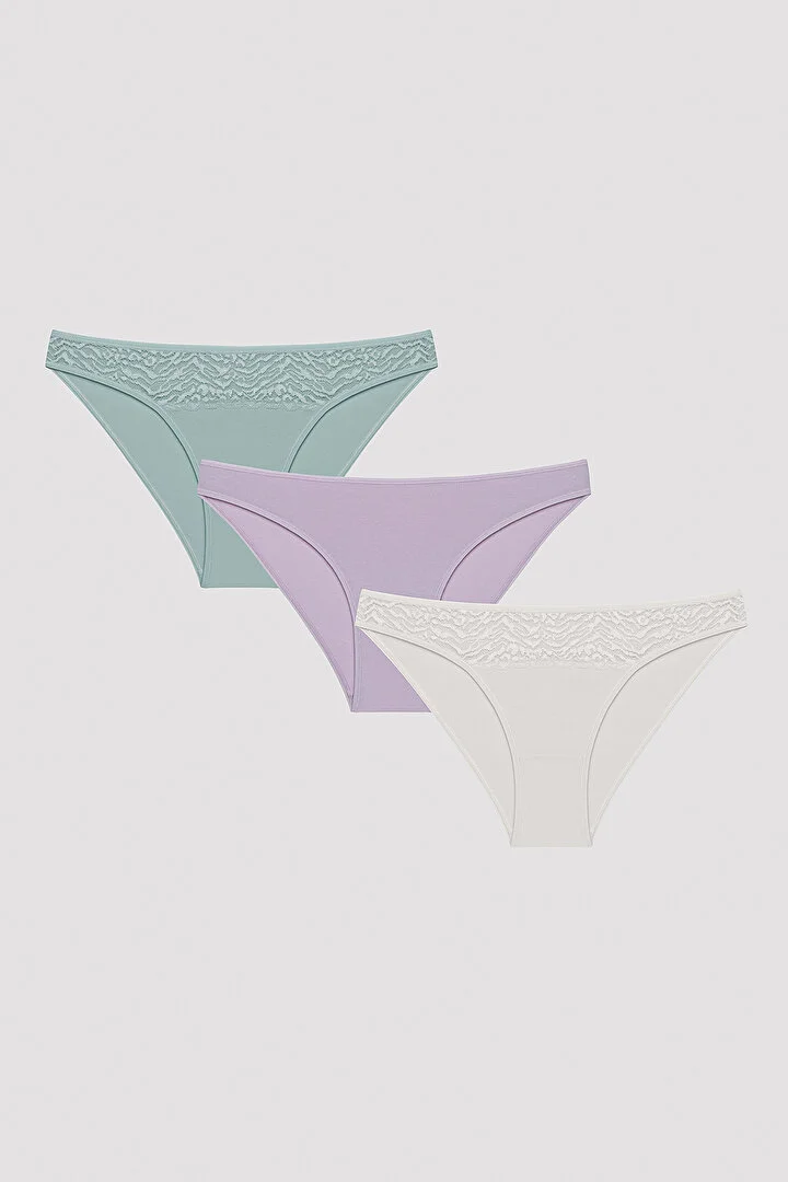 Penti Whisper Lacy Dantel Çok Renkli Slip Külot